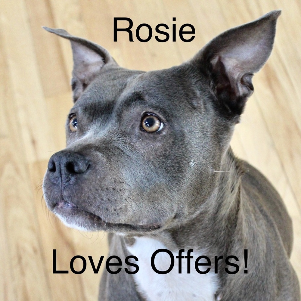 ROSIE LOVES OFFERS!